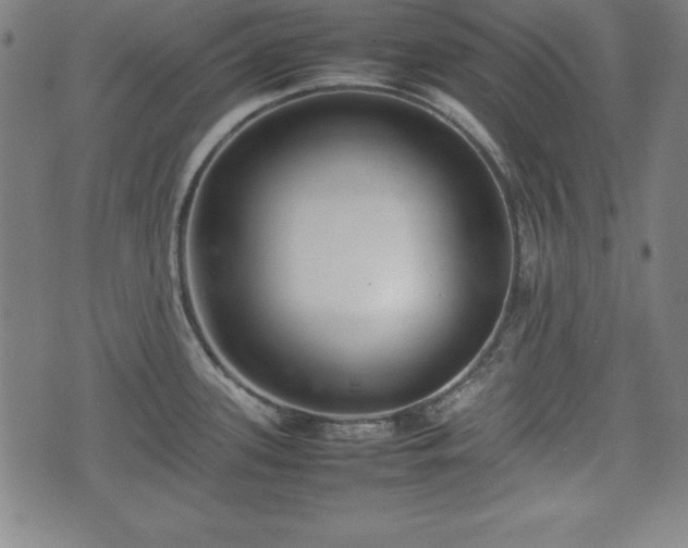 X0000074931339200609081316