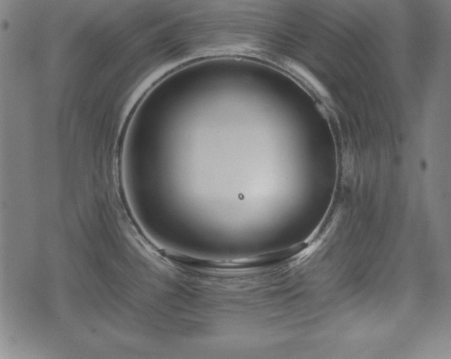 X0000074931340200609081316