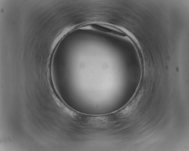 X0000074931341200609081316