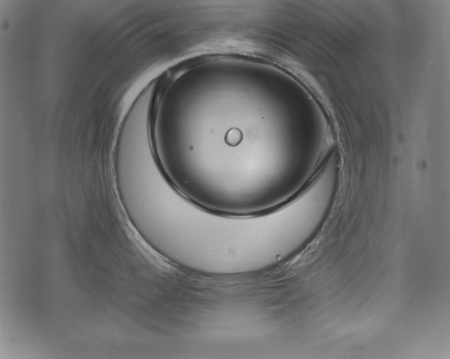 X0000074931344200609081316