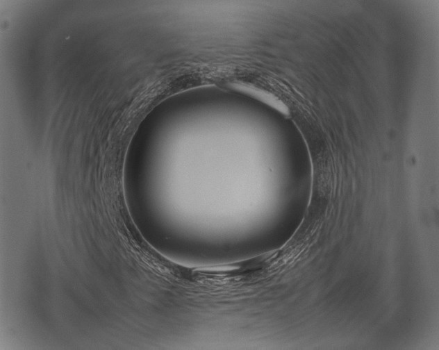 X0000074931345200609081315