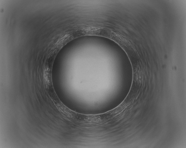 X0000074931346200609081315