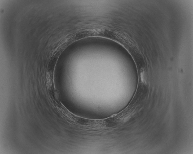 X0000074931347200609081315