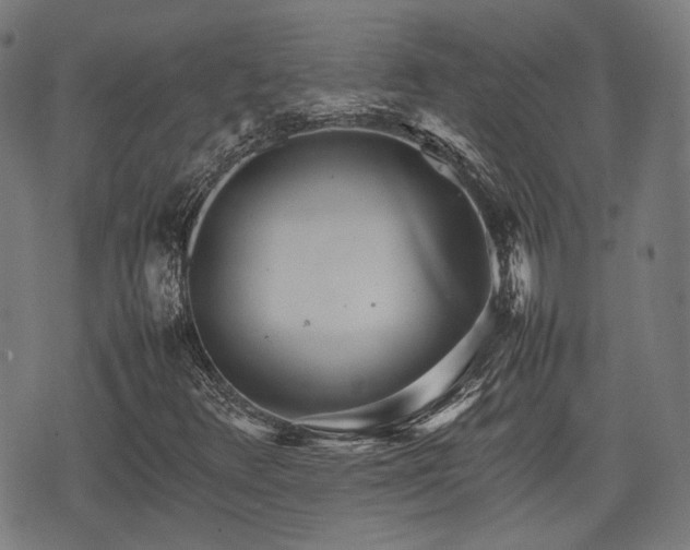 X0000074931348200609081315