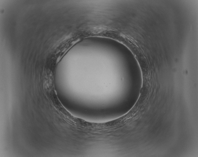 X0000074931349200609081315