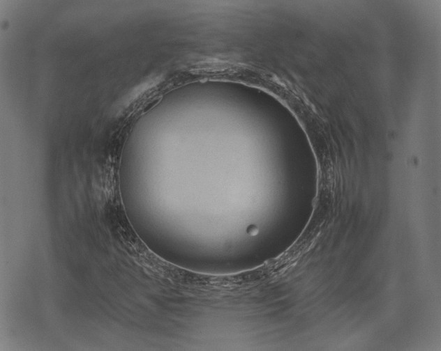 X0000074931350200609081315