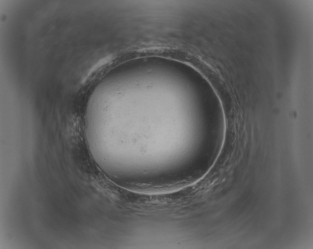 X0000074931351200609081315