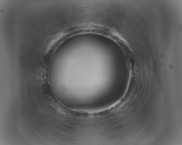 X0000074931352200609081315