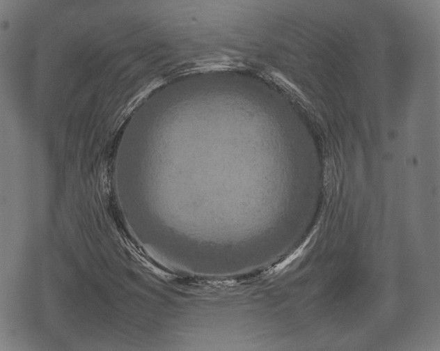 X0000074931353200609081315