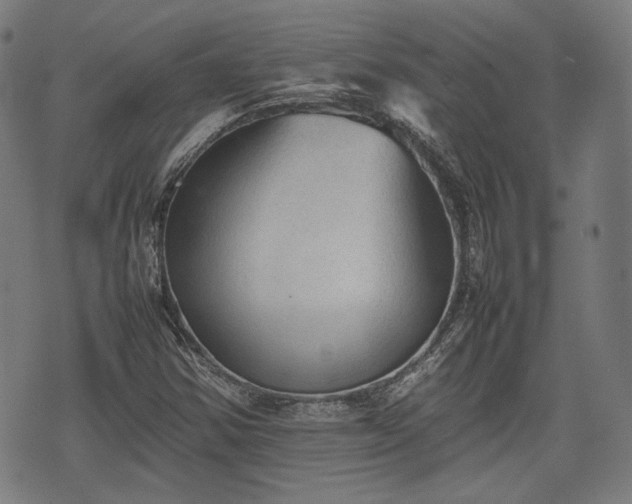 X0000074931354200609081315