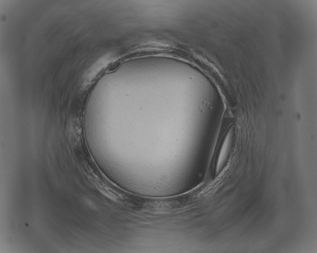 X0000074931355200609081315