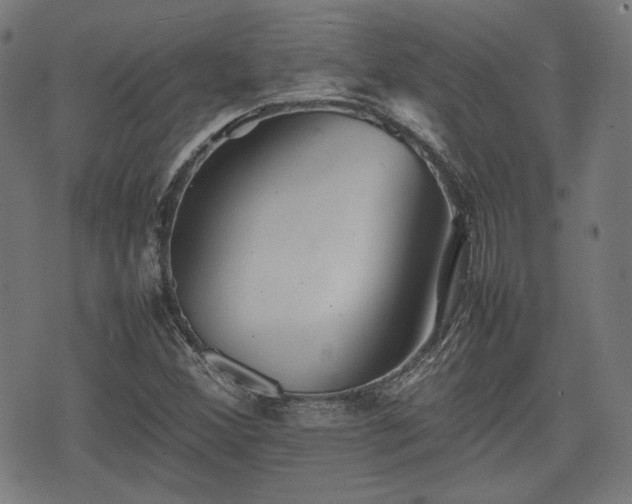 X0000074931356200609081315