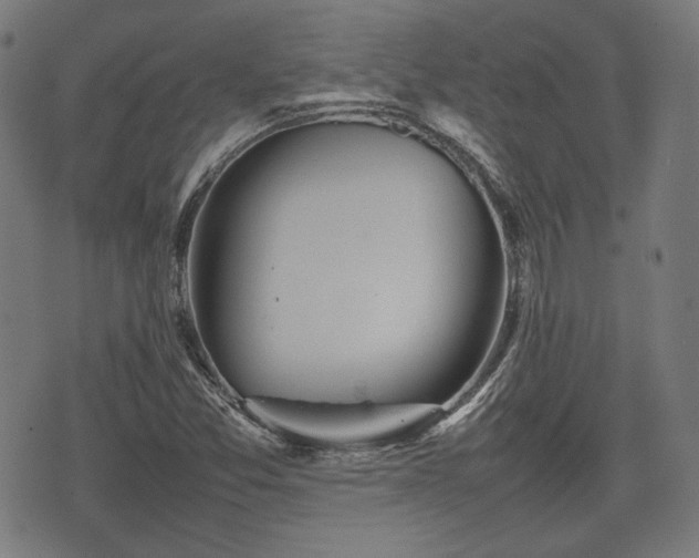 X0000074931357200609081315