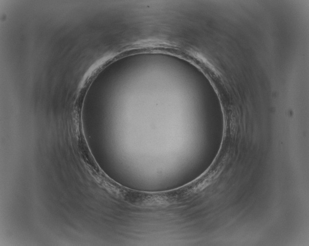 X0000074931358200609081315