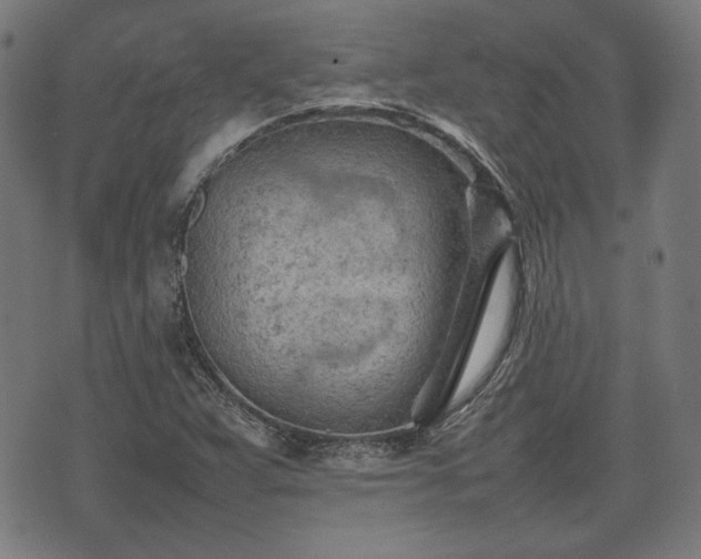 X0000074931359200609081315