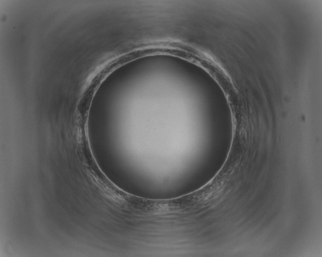 X0000074931360200609081315