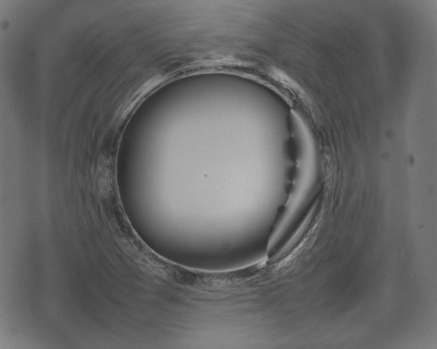 X0000074931361200609081315