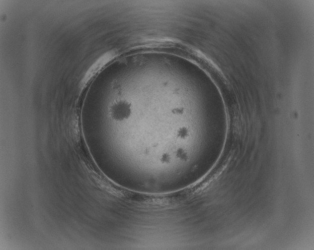 X0000074931362200609081315