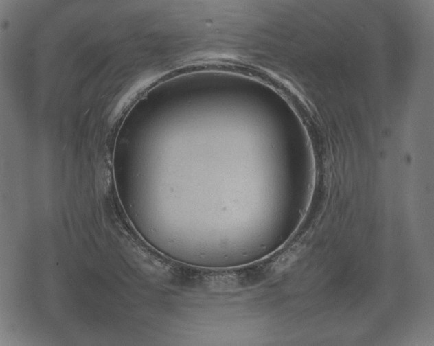 X0000074931363200609081315