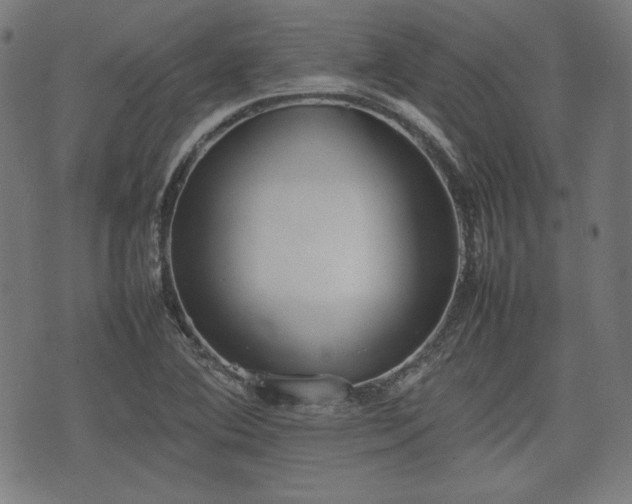 X0000074931364200609081315