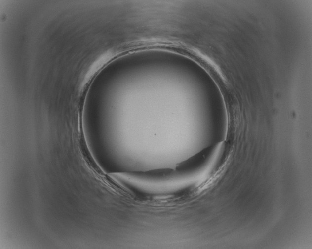 X0000074931365200609081315