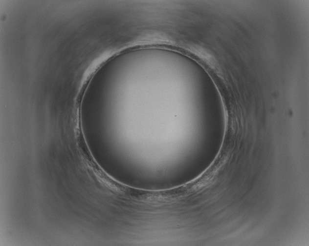 X0000074931366200609081315