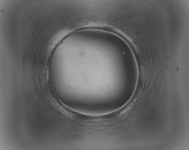 X0000074931367200609081315