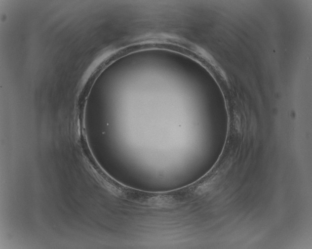 X0000074931368200609081315