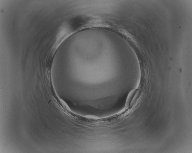 X0000074931369200609081315