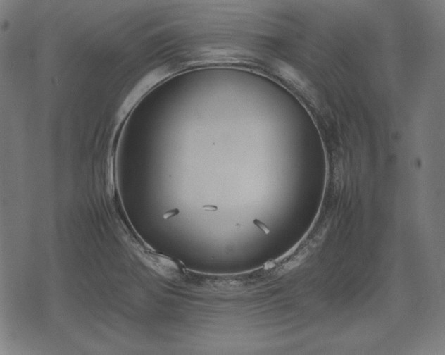 X0000074931370200609081315