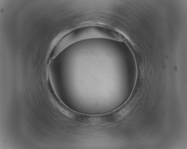 X0000074931371200609081315