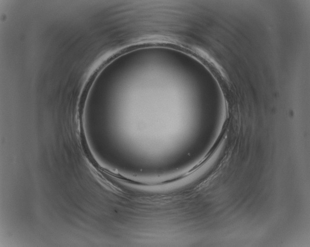 X0000074931372200609081315