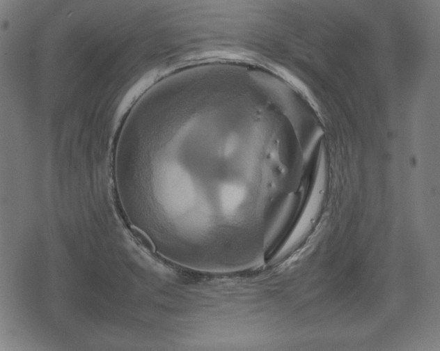 X0000074931373200609081315