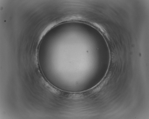 X0000074931374200609081315