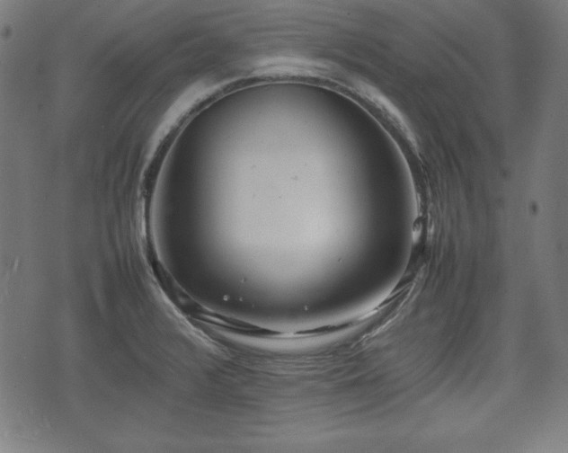 X0000074931376200609081315