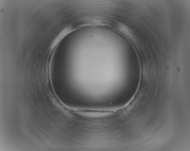 X0000074931378200609081315