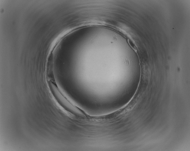 X0000074931379200609081315