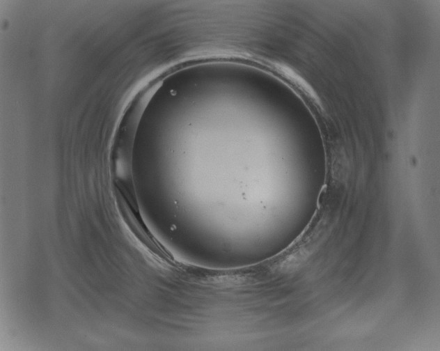 X0000074931380200609081315