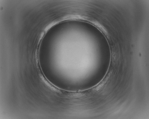 X0000074931382200609081315