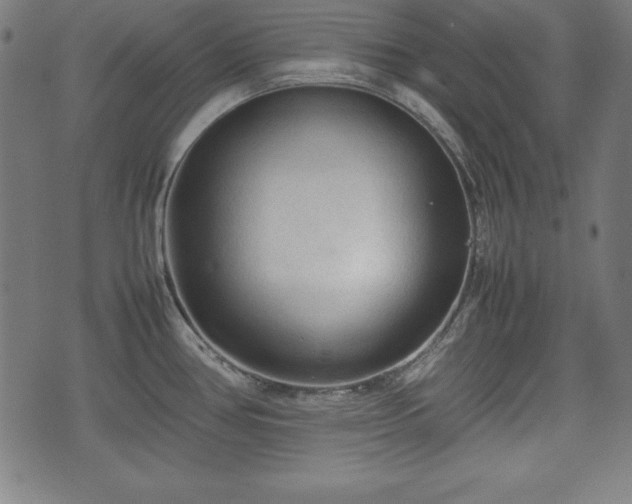 X0000074931386200609081315