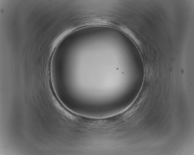 X0000074931387200609081315