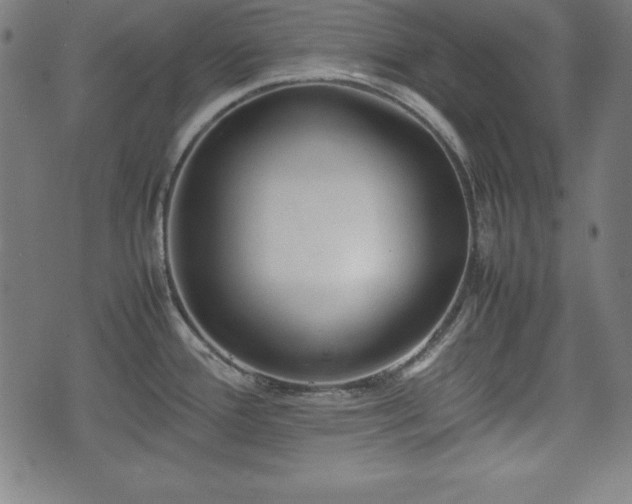 X0000074931388200609081315