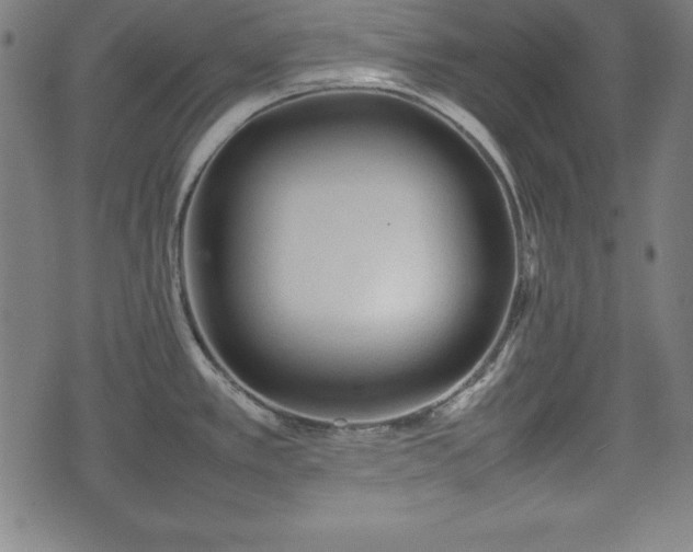 X0000074931389200609081315