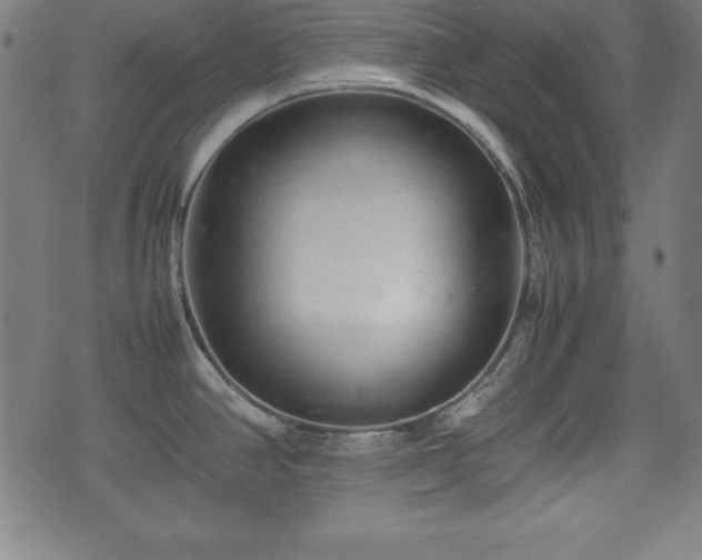 X0000074931390200609081315