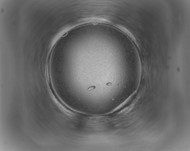 X0000074931391200609081315