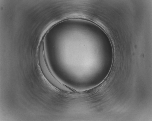 X0000074931392200609081315