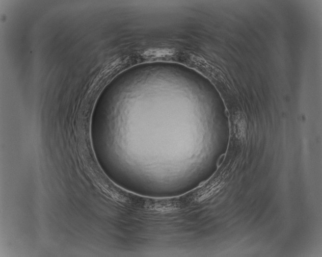 X0000074931393200609081314