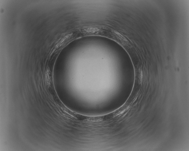 X0000074931394200609081314