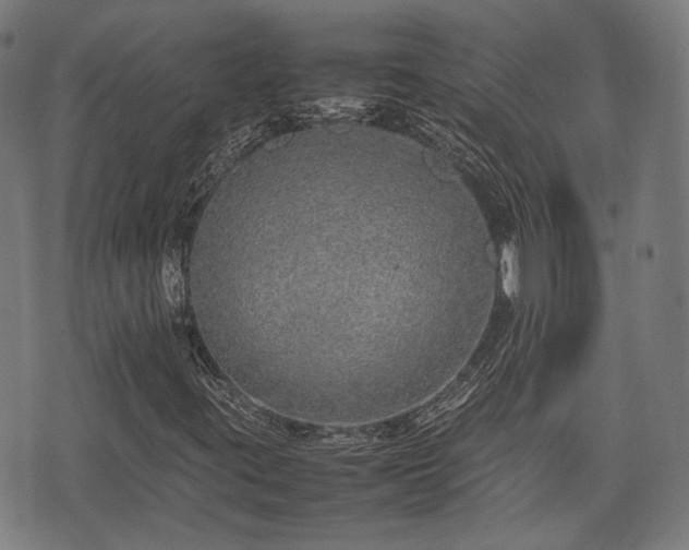 X0000074931395200609081314