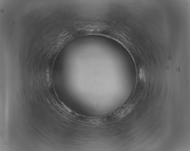 X0000074931396200609081314